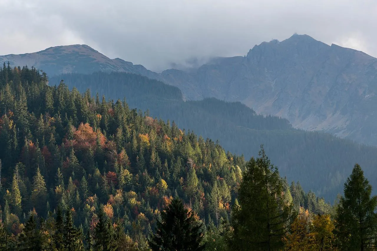 Willa Widokowa Wojnar Zakopane 3*,  Polska
